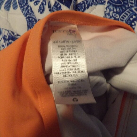 Share Terra & Sky 4XL Bathing Suit - Picture 2 of 3